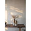 Carafe en terre cuite Candia 8,9 po x 5,7 po x 14,4 po, brun Sienna