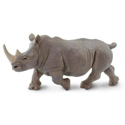 Rhinocéros blanc