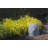 Spataro Weather Resistant Plastic Abstract Garden Stone-358773055