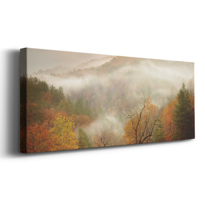 " Photography Study Autumn Mist "