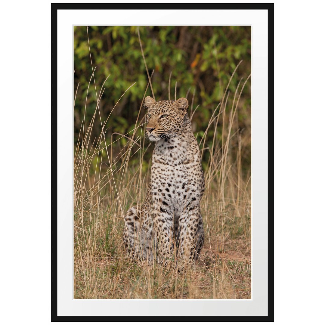 Anmutiger Leopard im hohen Gras Gerahmter Fotokunstdruck