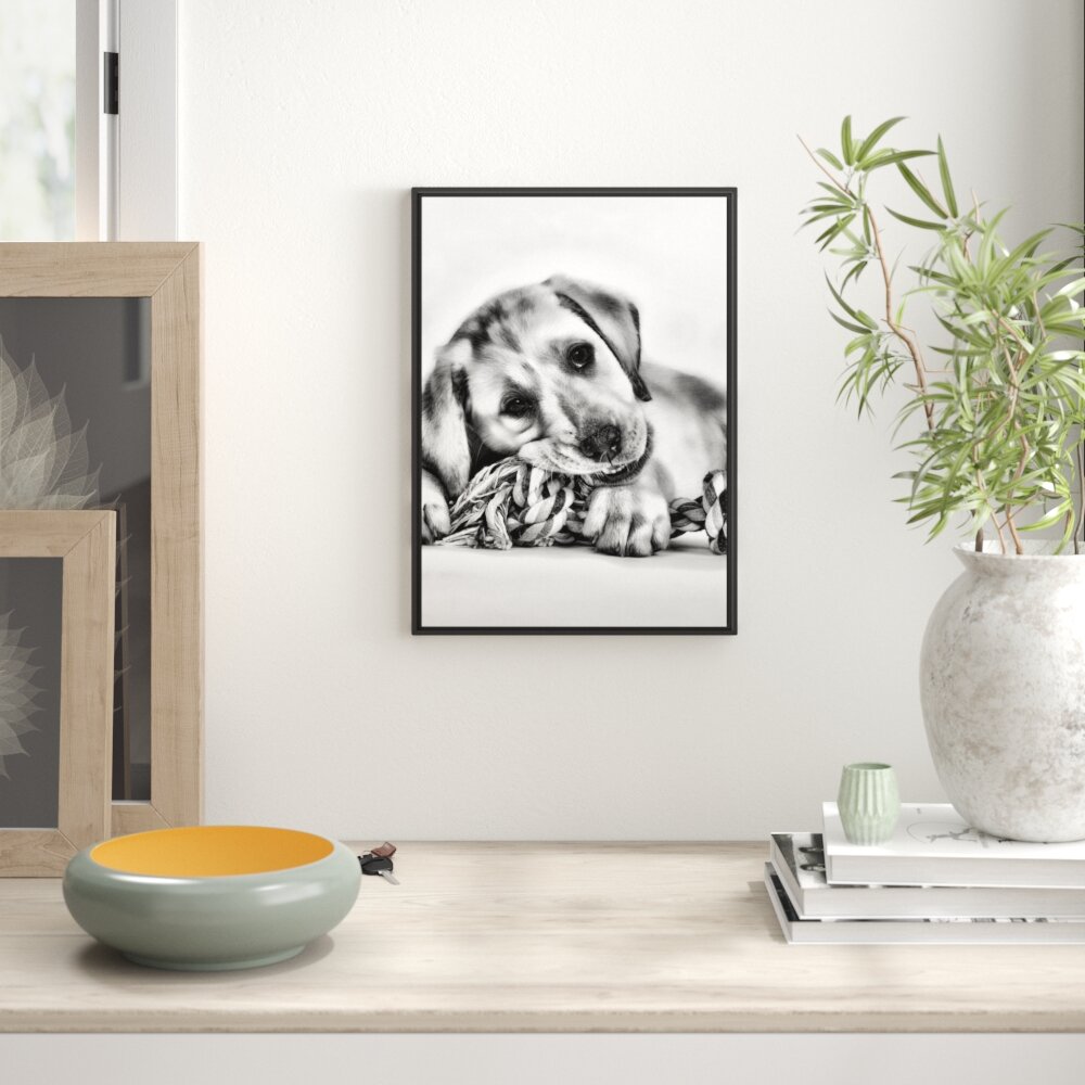 Gerahmtes Wandbild Hundewelpe