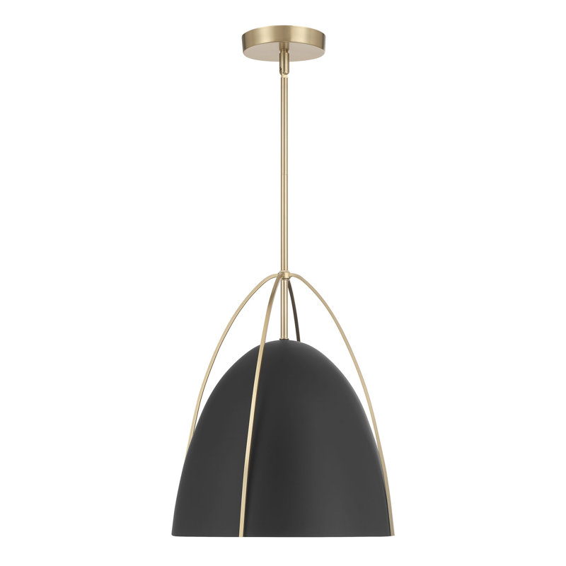 Luminaire suspendu 1 lumière Pomelle, Noir mat