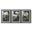«Dramatic White Flowers I», reproduction sur mesure encadrée de qualité supérieure, mat, 3 pièces-1991576284-1991576286