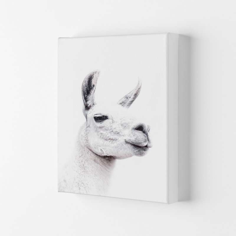 Llama I by Victoria Frost - Print, 29.7cm H x 21cm W x 4cm D, Wrapped Canvas