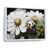 Cadre flottant blanc