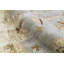 Cornwall Wool Oriental Area Rug
