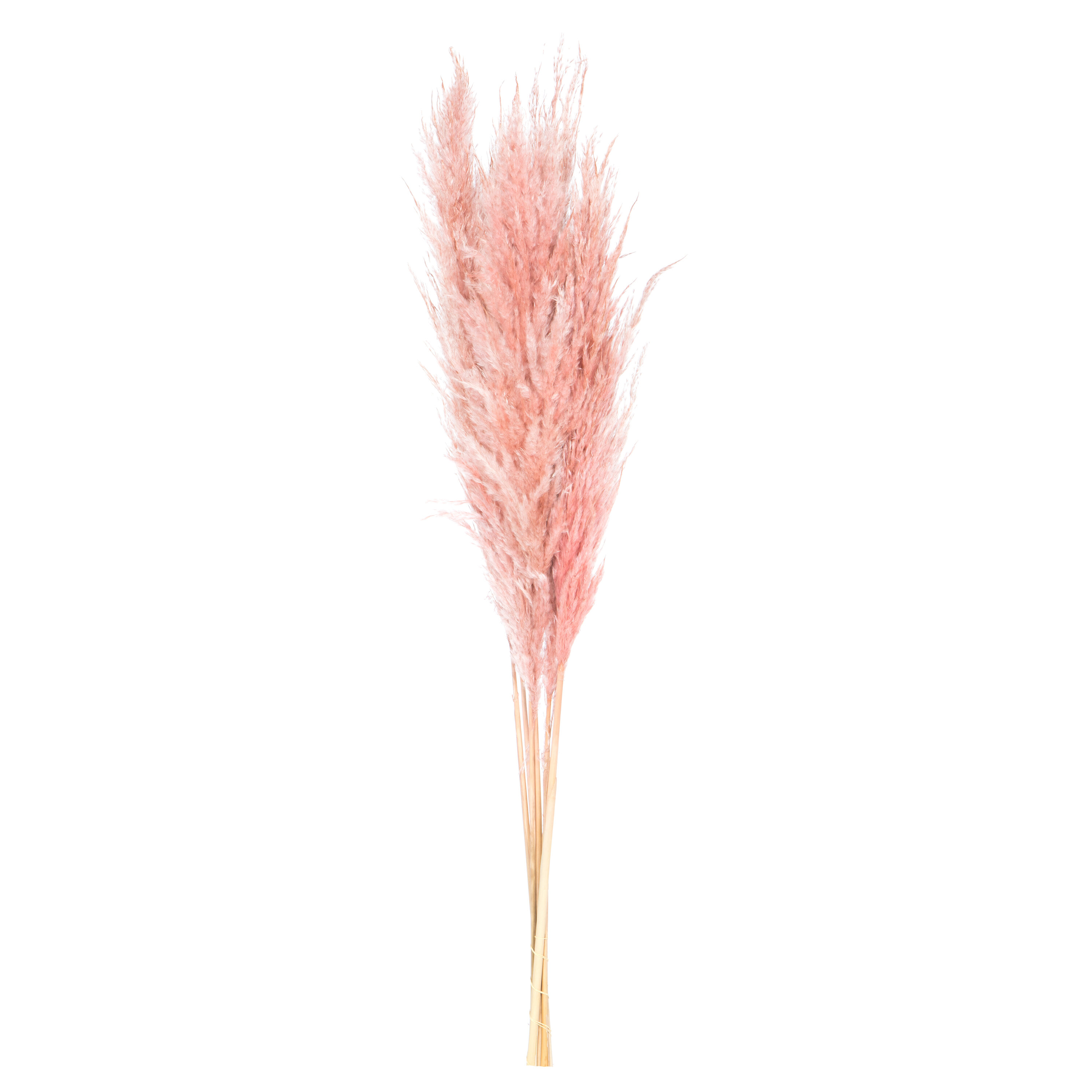 Faux Pampas Grass - 6 Stems - 48 Long - Soft Pink