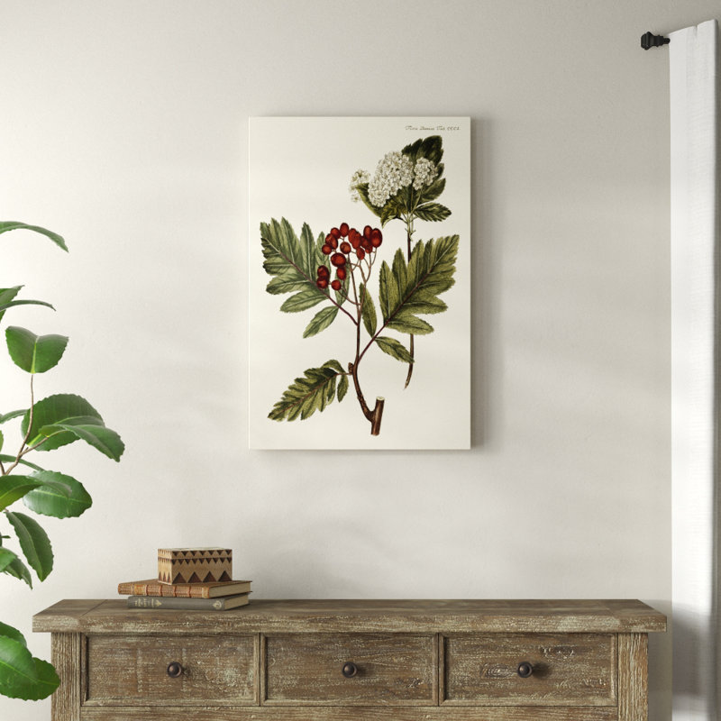 'The Hawthorne Tree' by Georg C. Oeder - Painting Print, Wrapped Canvas, 91cm H x 61cm W