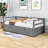 Demoraes Twin Size Wood Daybed with Trundle-1941296451