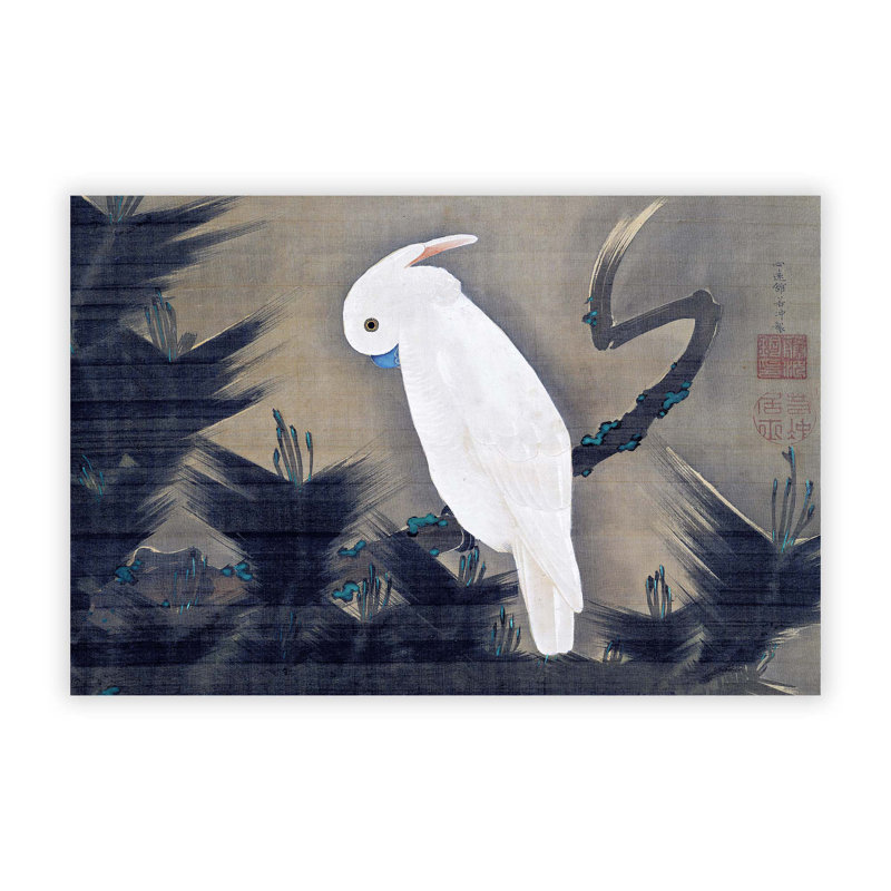 White Cockatoo On A Pine Branch by Ito Jakuchu - No Frame Painting, 42 cm H x 59.4 cm W