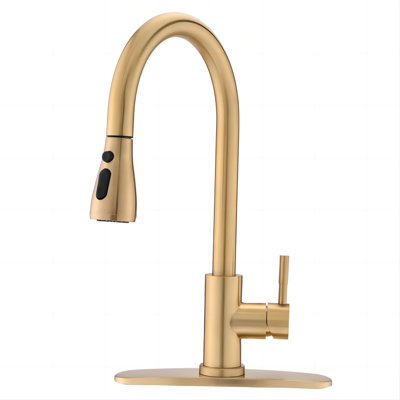 KISRAIS Pull Down Kitchen Faucet