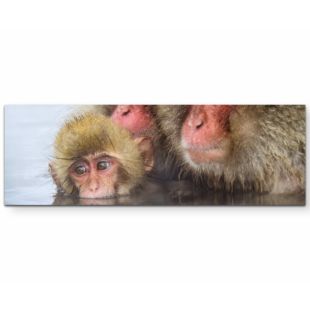 Leinwandbild Snow Monkeys