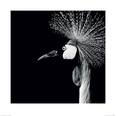 Marina Cano - No Frame Print