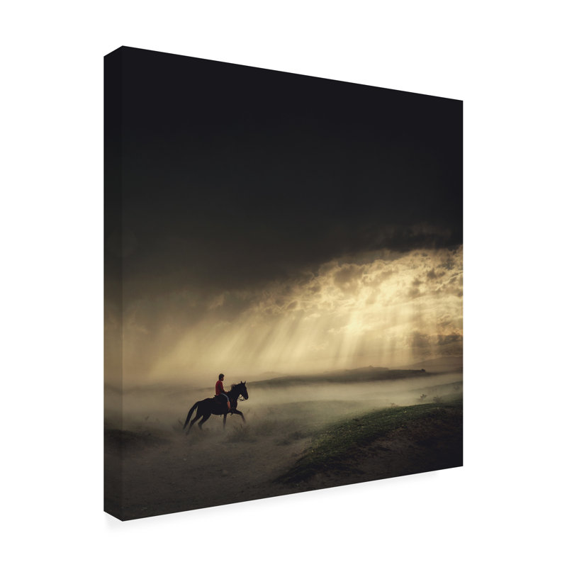 Art sur toile «Huseyin Taaykan», H 14 po x l 14 po