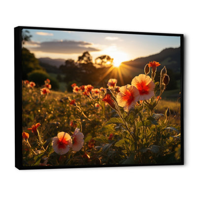 " Hibiscus Field With Sunset I "