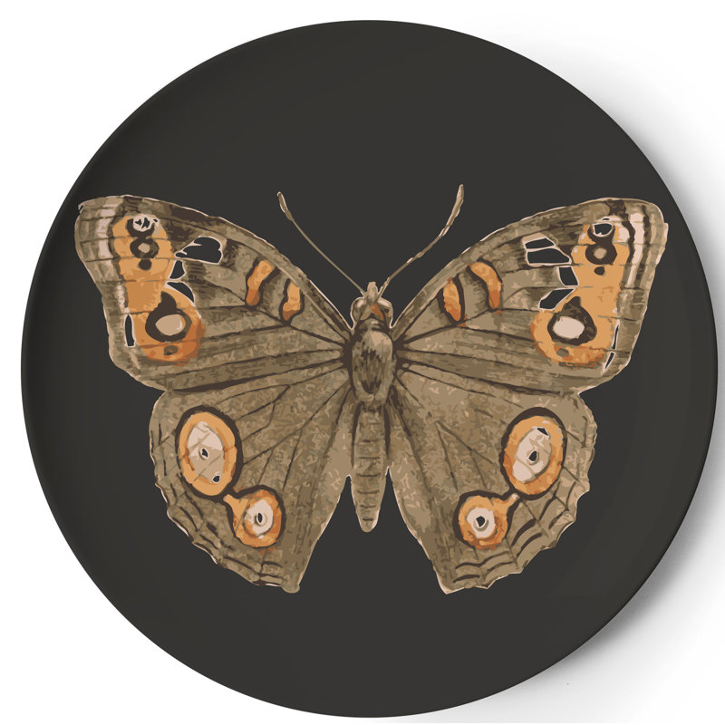 Metamorphosis Round Coaster