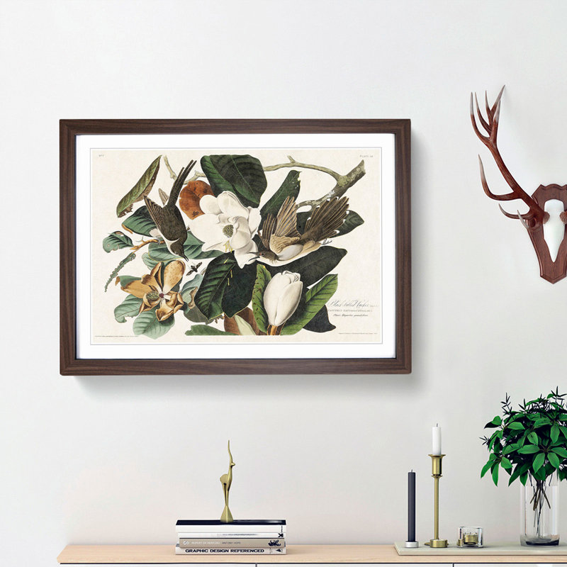 Black-Billed Cuckoo Birds by John James Audubon - Picture Frame Art Print, 36cm H x 48cm W x 2cm D, Walnut Framed