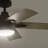 52'' Ceiling Fan with LED Lights-239975205