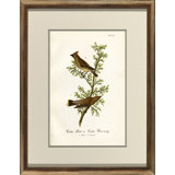 B703 Bird Print
