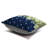 Outdoor Throw Pillow