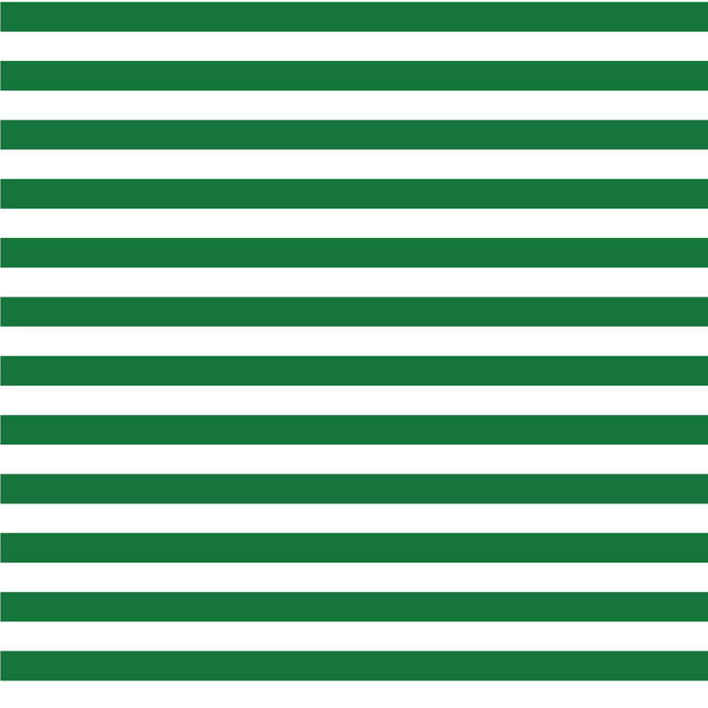Rouleau de papier peint mat 10 pi x l 24 po Mme Paranjape, Vert, Faux Grasscloth