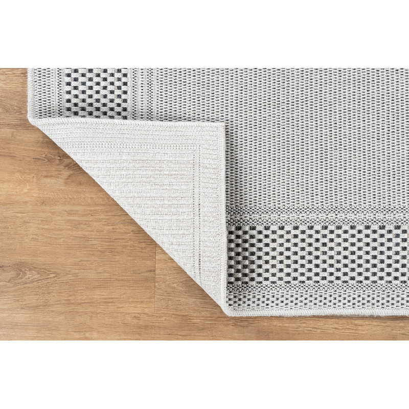 Indoor Outdoor Area Rug, Rectangle 4' x 6'