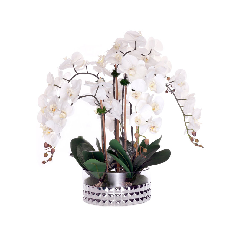 Orchidées phalaenopsis / mousse / cailloux dans un bol en verre argenté Real Touch