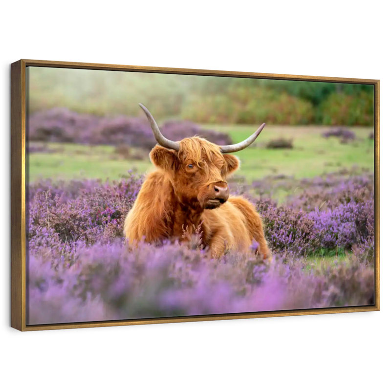 Highland Cow Paradise, Cadre flottant doré, 25 po x 17 po