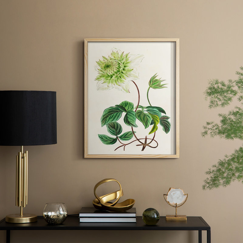 Reproduction encadrée AntiqueFloralFolioV III - bois massif, H 11 po x l 9 po