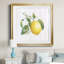 Lemon Fresh I - Cadre photo, reproduction d'art sur papier-1751556609-1751556636