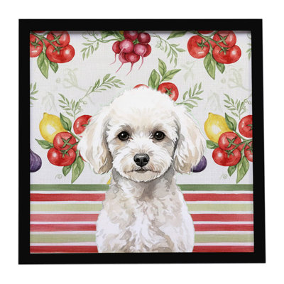 Toy White Poodle Vegetables Framed Metal Print