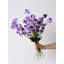 Tige minimale Scabiosa - 19,7 po-852405901-852405907