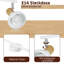 Spotlight-108219487