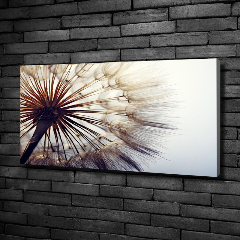Dandelion - Wrapped Canvas Print