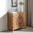 Storage Cabinet with 2 Door