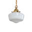 Luminaire suspendu 9 po