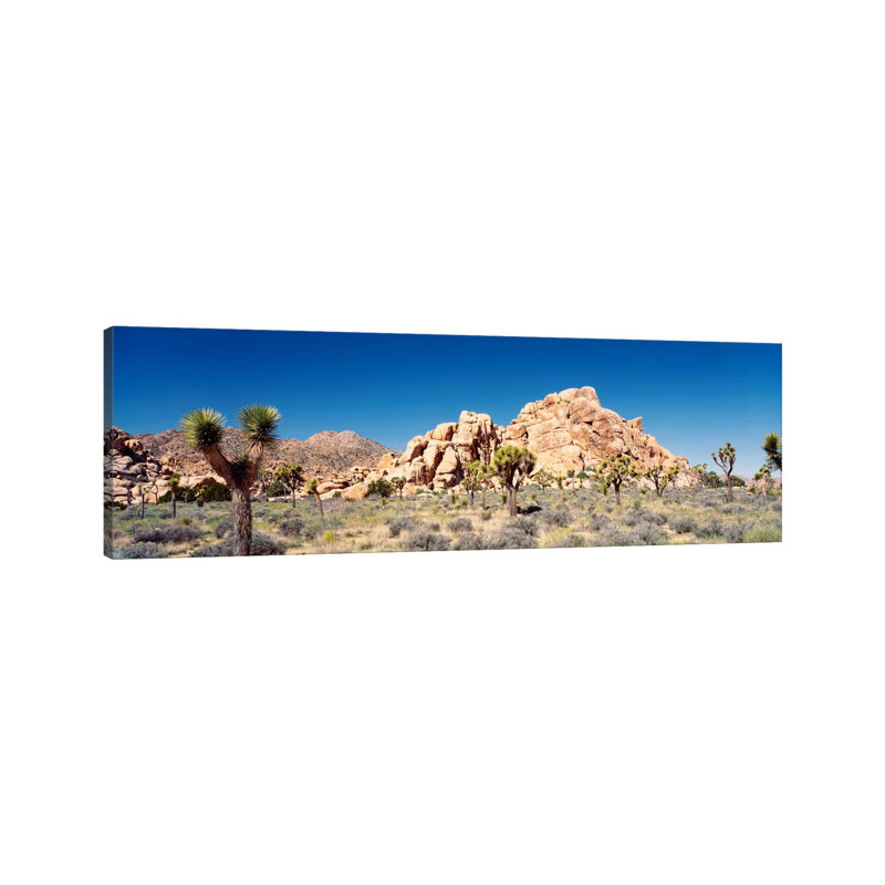 Rock Formation, Joshua Tree National Park, California, USA - Wrapped Canvas Panoramic Print