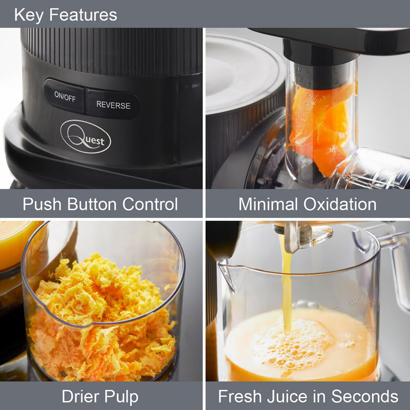 Slow Masticating Juicer Black