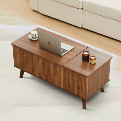 Saltash Lift Top Coffee Table with Storage by George Oliver