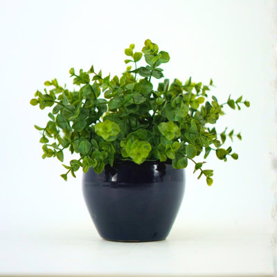 Faux eucalyptus dans un cache-cache bleu marine brillant