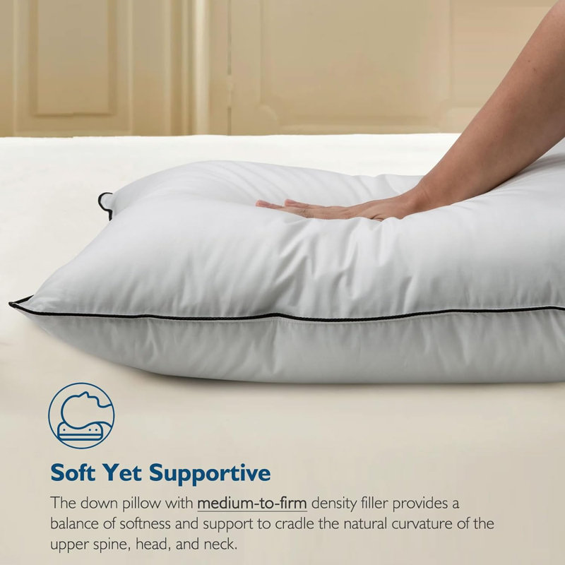 Xavier 100% Organic Cotton Soft-Medium Support Feather Down Pillows Set of 2, Standard