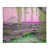 Pink selected