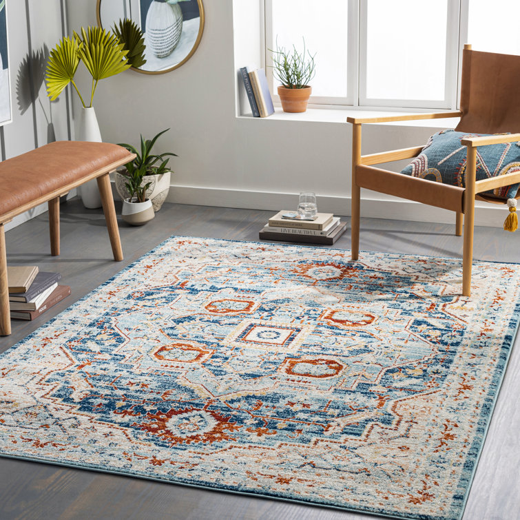 Aldusa Oriental Indoor Rug