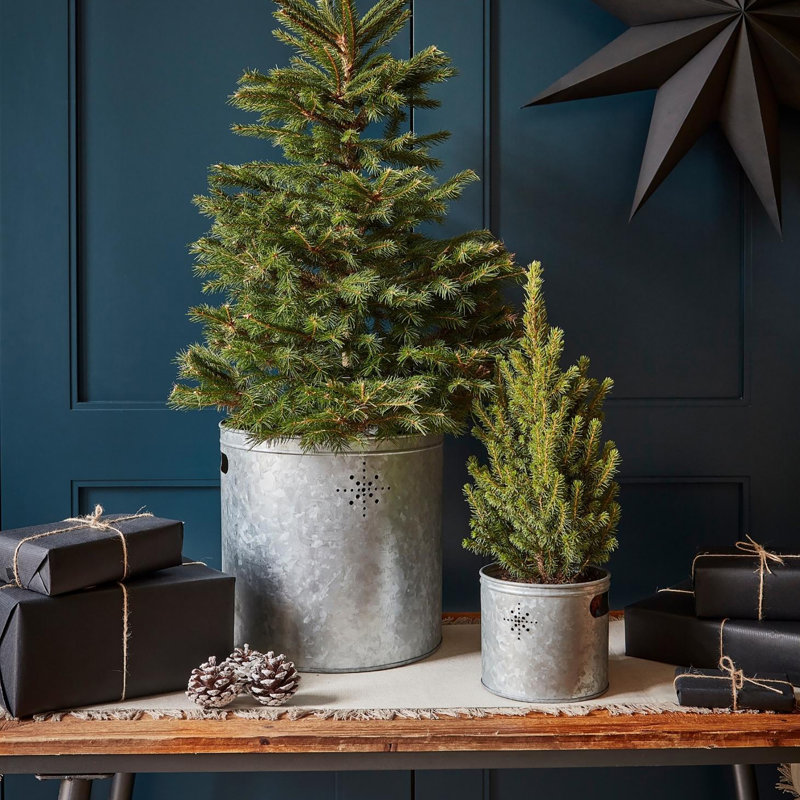 Galvanised Steel Planter Bucket with Star, Galvanised