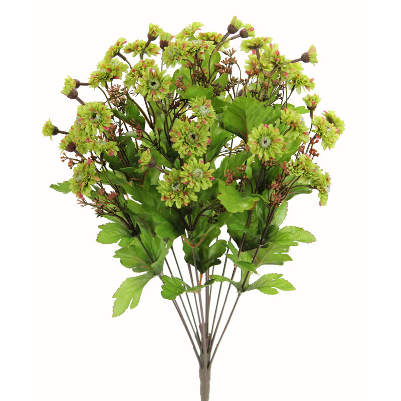 Douille mum de fleurs, Sauge