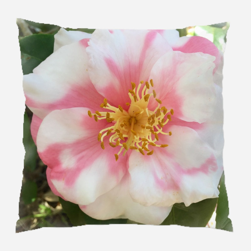 Housse et insert de coussin extérieur Reiban, Microsuède, Intérieur