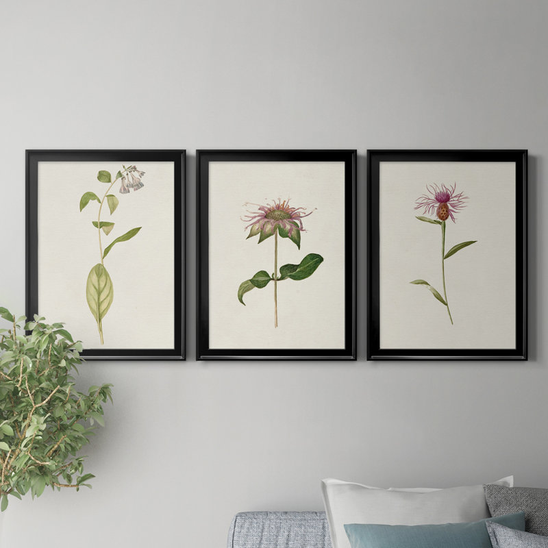Mauve Garden Flowers IV, reproduction encadrée de qualité supérieure - prête à être accrochée, H 42,5 po x l 91,5 po x P 1 po
