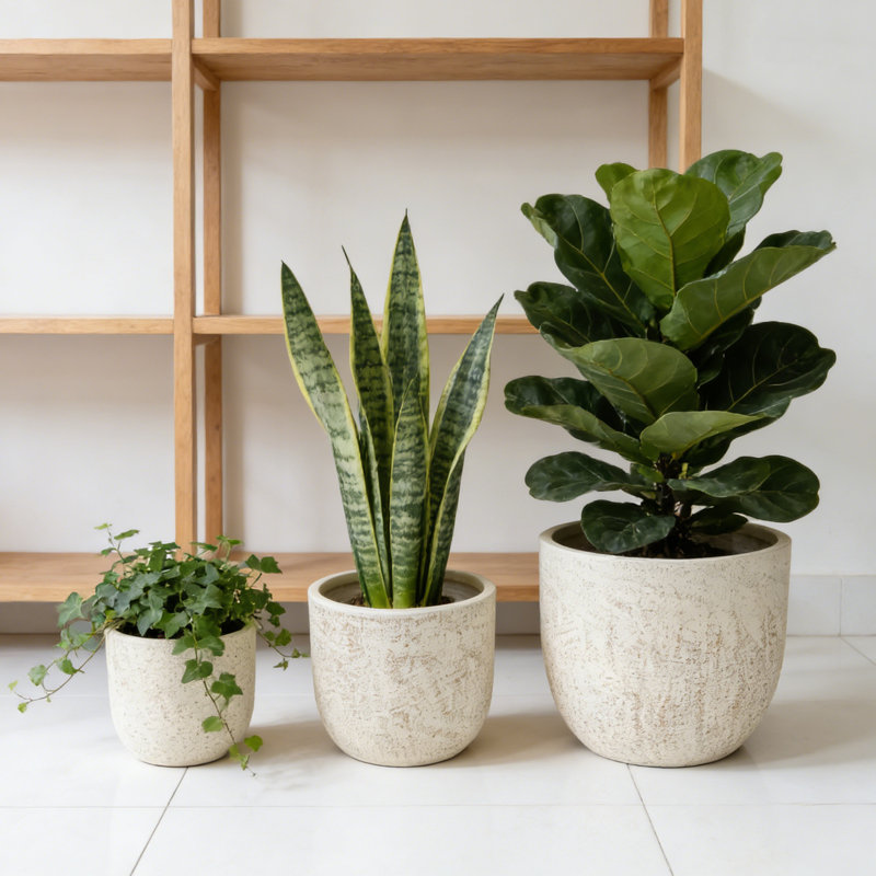 Ensemble de 3 pots à fleurs Mgo