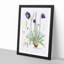 Himalayan Blue Poppy by W. H. Fitch - Picture Frame Painting Print-55580301-55580306